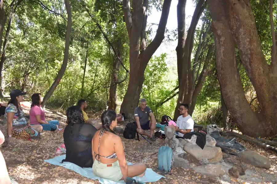 Participantes sentados en círculo bajo los árboles durante una meditación guiada